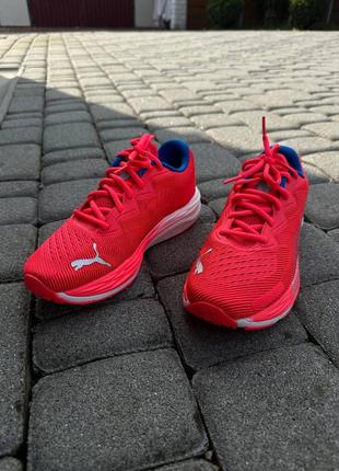 Женские кроссовки пума сетка puma nitro