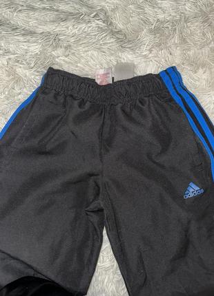 Спортивные штаны adidas оригинал