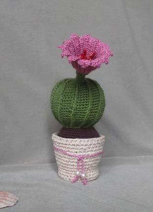 В'язаний гачком кактус з квіткою. декоративний кактус. інтер"єрна іграшка3 фото