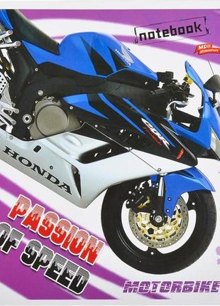 Тетрадь цветная 48 листов, линия