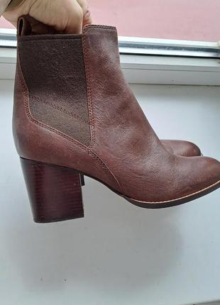 Сапоги женские clarks