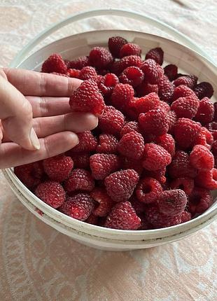 Сортова малина