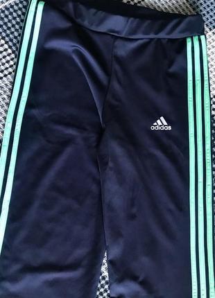 Спортивные штаны adidas2 фото