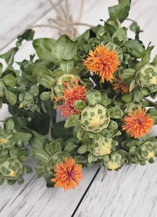 Сухоцвет сафлор. 6-7 ветки