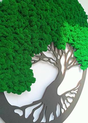 Панно , картина, дерево із стабілізованим мохом 50см преміум мох (темно-зелений мох)