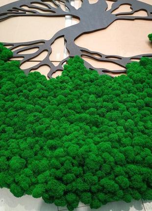 Панно , картина, дерево із стабілізованим мохом 50см преміум мох (темно-зелений мох)