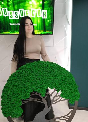 Панно , картина, дерево із стабілізованим мохом 50см преміум мох (темно-зелений мох)