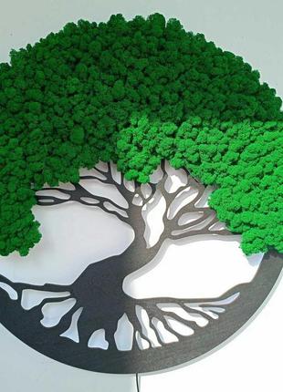 Панно , картина, дерево із стабілізованим мохом 50см преміум мох (темно-зелений мох)