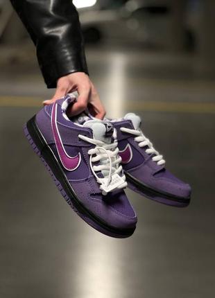 Nike sb dunk low purple lobster