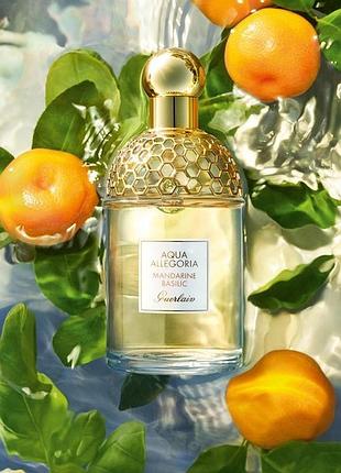 dolce& gabbana the one essence 75 ml