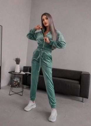 Велюровий костюм двійка