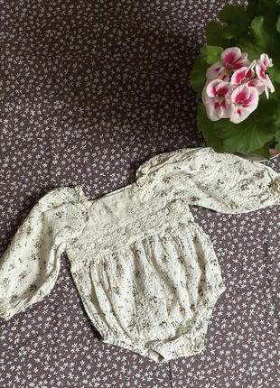 Бодік, боді