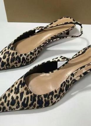 Леопардові кітен хілз мюлі туфлі снінг беки zara човники гострий носок