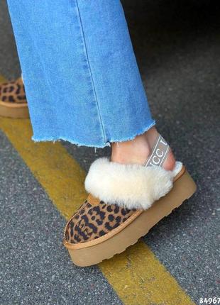 ▪️тапки-мюлі в стилі ugg fluff skuff жіночі уггі танкетка платформа коричневі-леопард хутро ремінець-резинка демісезонні осінь-зима 36 37 38 39 40 41