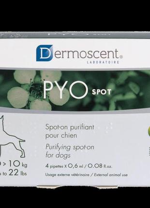 Dermoscent pyospot капли для контроля кожных инфекций у собак миниатюрных и малых пород, 4х0,6 мл