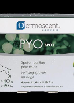 Dermoscent pyospot капли для контроля кожных инфекций у собак больших и гигантских пород, 4х2,4 мл