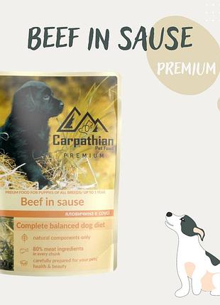 Вологий корм для собак carpathian pet food «beef in sauсe» яловичина в соусі 100г * 24шт