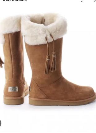 Сапоги ugg оригигинал