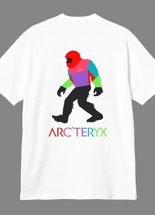 Футболка Арктерикс arcteryx