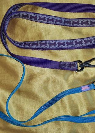 Два поводкі пояс проводок для собаки кота.