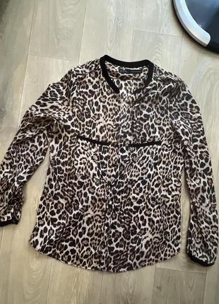 Zara s блуза блузка рубашка леопардова леопардовая