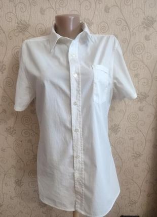Блуза белая хб