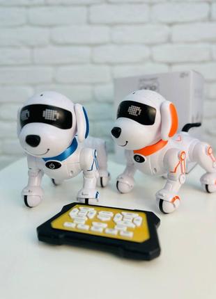 Песик 🐶 на радио управлении 🐾