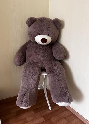 Мʼяка іграшка, ведмідь