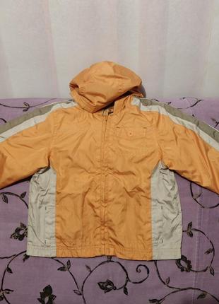 Вітровка на трикотажній підкладці на 1,5-3 роки (98)