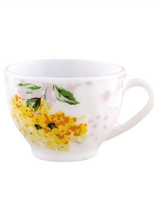 Чашка 100ml загартоване скло np54cup2/100