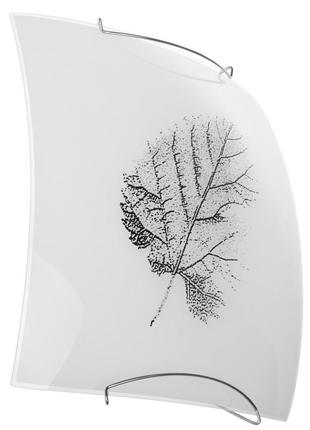 Світильник настінно-стельовий накладний w-466/2 brille 1713642 фото