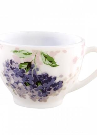 Чашка 100ml загартоване скло np55cup2/100