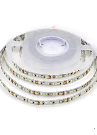 Світлодіодна led стрічка prolum™ 12v 2835/120 ip20 pro білий (5500к)