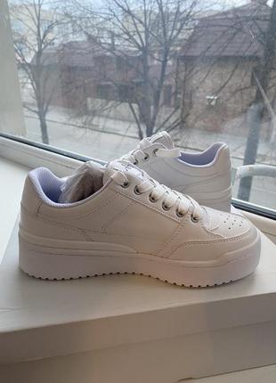 Кеди calvin klein 36(23)