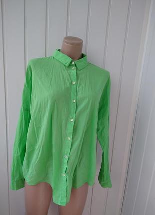 Ярко зеленая рубашка4 фото
