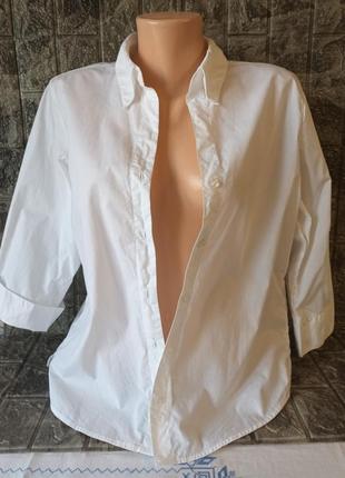 Рубашка белая explorer