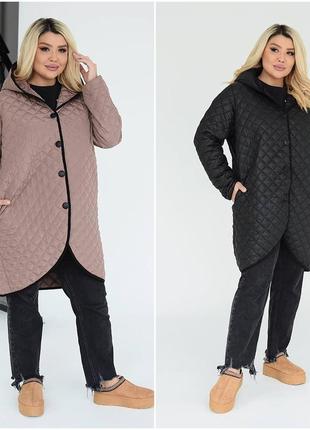 Весняна куртка розміри великі