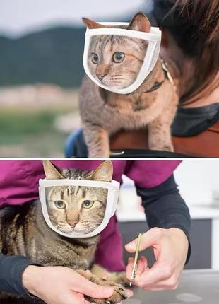 Восстановительный воротник - прозрачный конус маска размер м 20 -25 см.