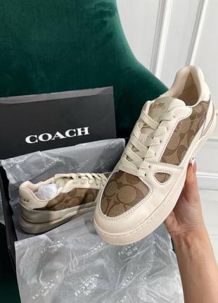 Кеди coach