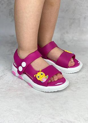 Сланці малинові 293 фото