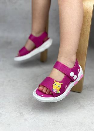 Сланці малинові 292 фото