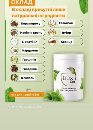 Вітаміни для схуднення « trex « , виробник туреччина.