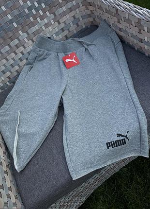 Шорты puma, m