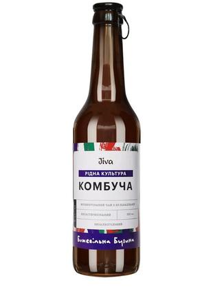 Комбуча з соком бузини 0,33л