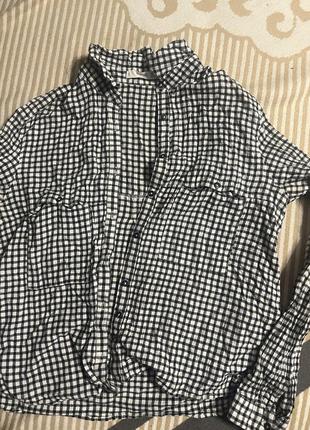 Рубашка mango4 фото