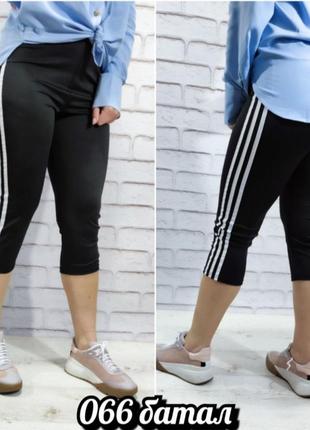 Бріджі жіночі