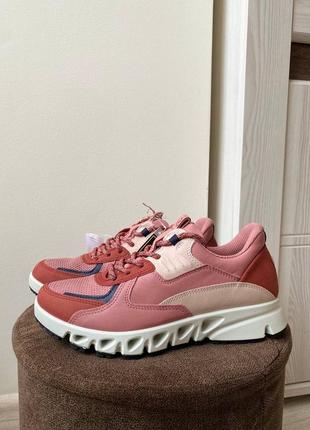 Кросівки шкіряні оригінал ecco multi-vent 880144 рр.35