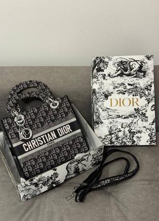 C.dior d-lite grey. logo