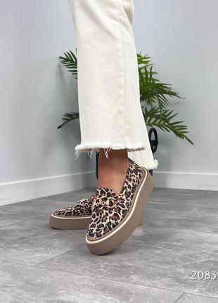 Леопардовые лоферы