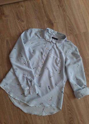 Сорочка, блуза жіноча reserved